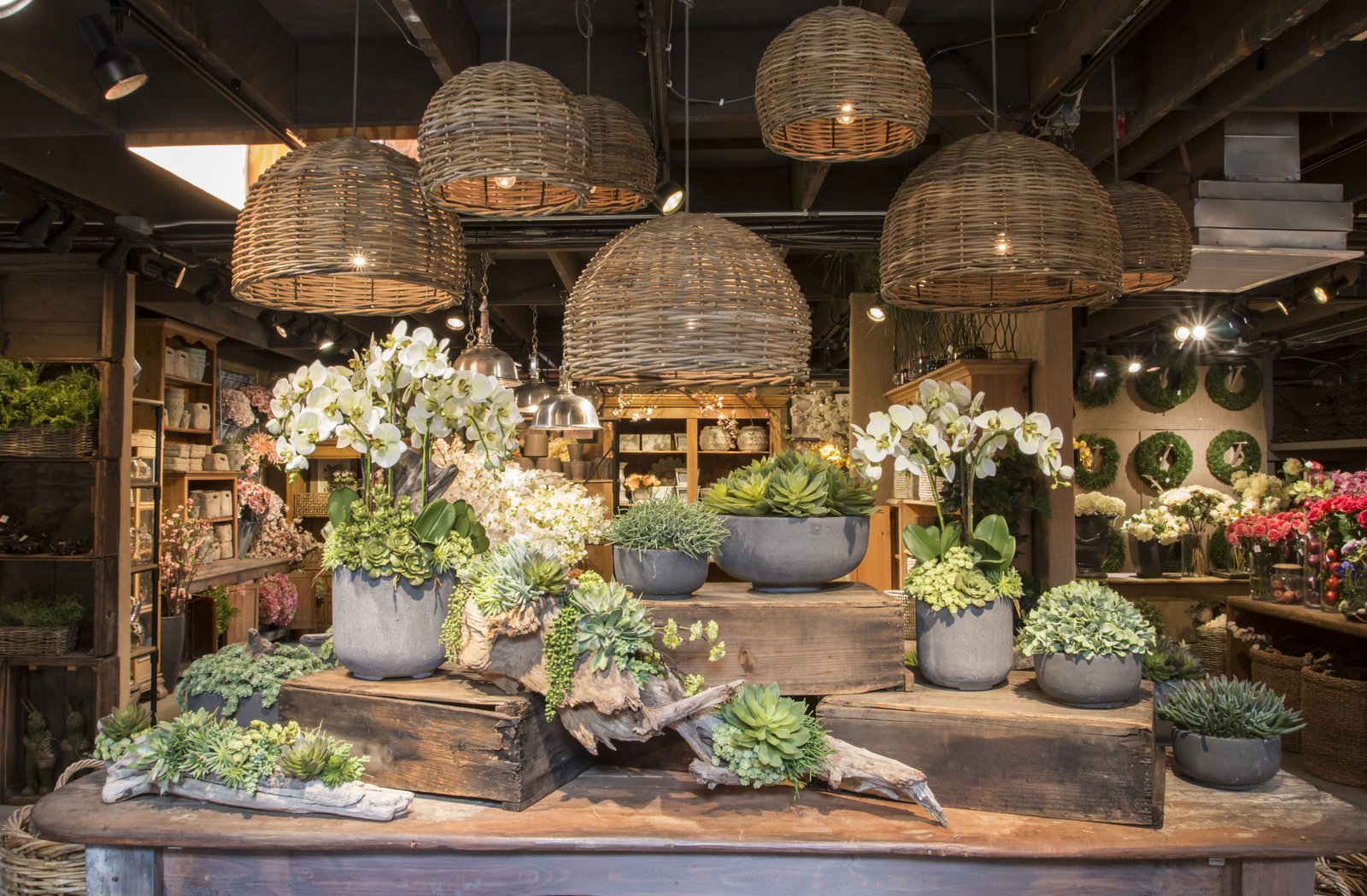 spring 2016 in 2019 | spring celebration 2016 | garden center