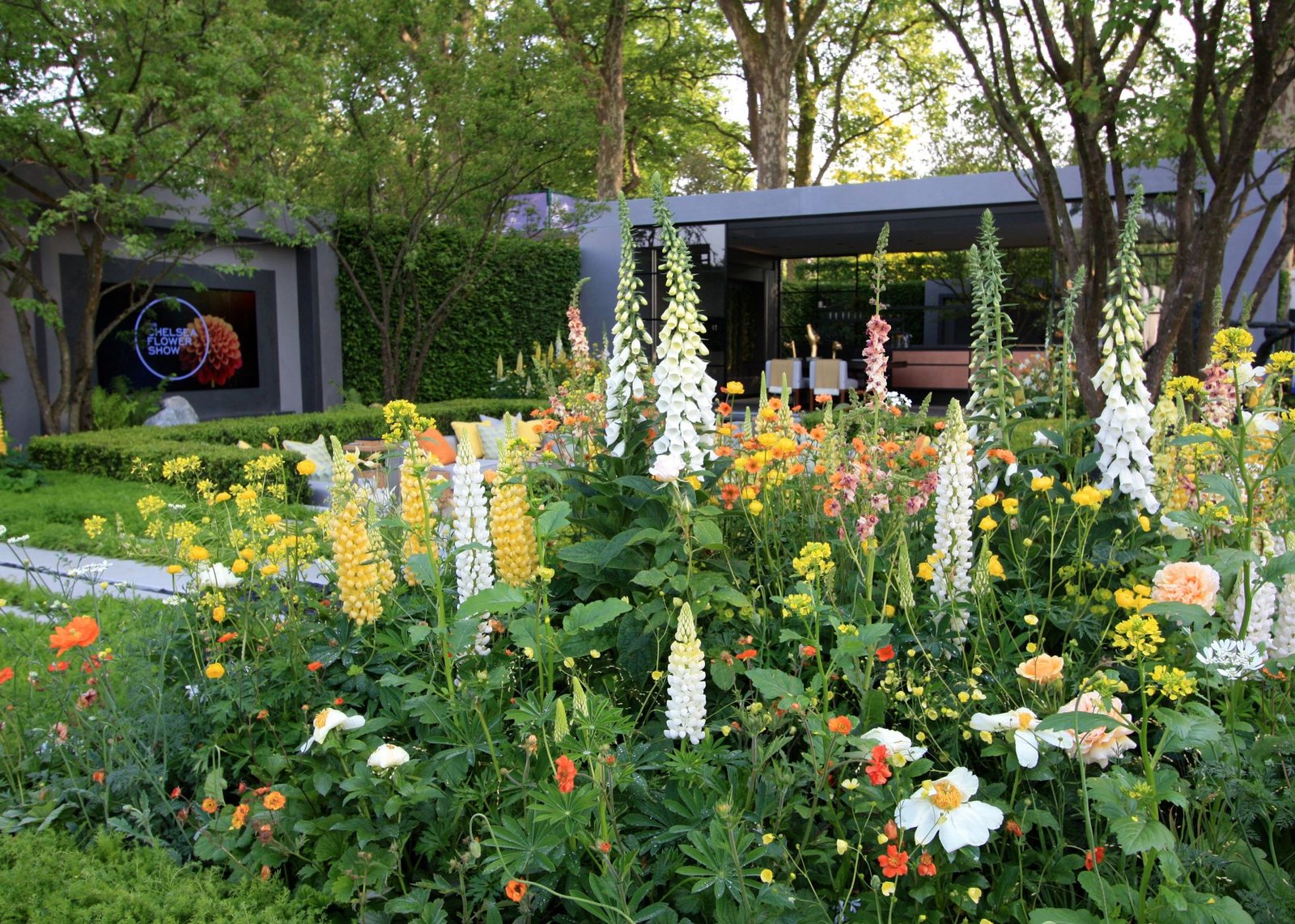 chelsea flower show 2018: the lg eco-city garden – the frustrated