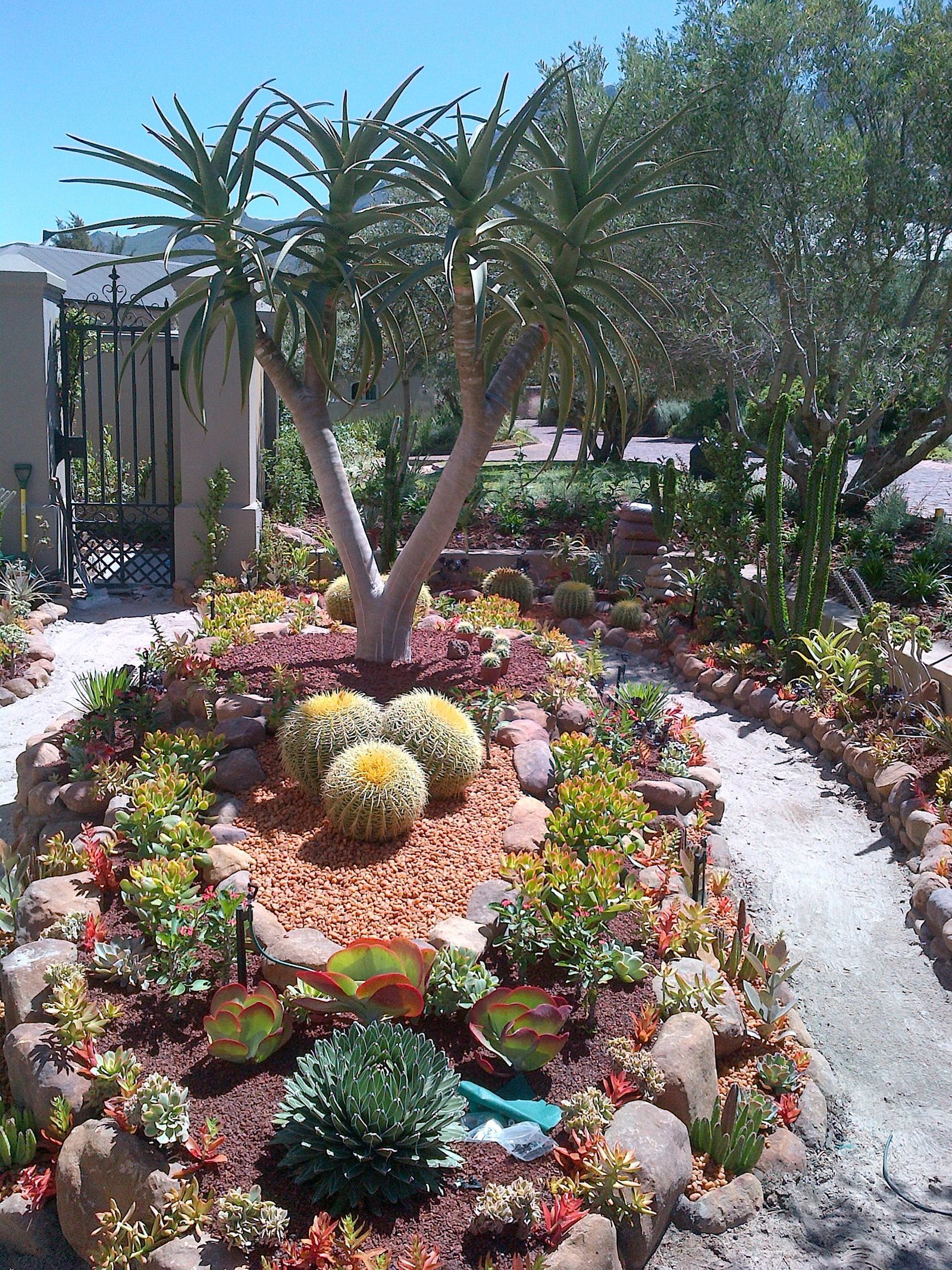 30 beautiful desert garden design ideas for your backyard