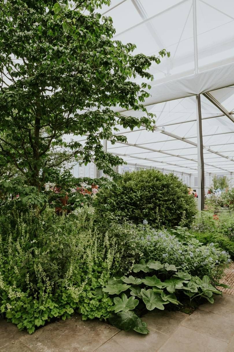 the chelsea flower show 2018 in pictures | garden | chelsea flower