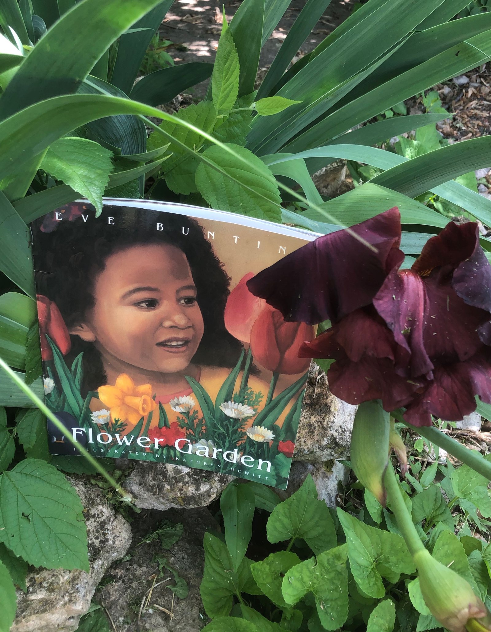 speech and language activities to go with the book flower garden by