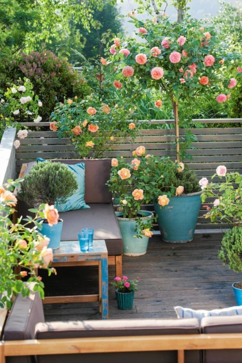 top tips for small garden design to transform your space pinterest