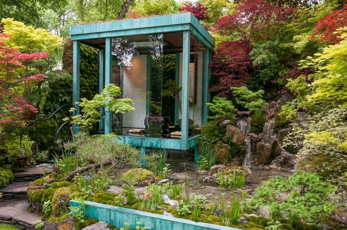 chelsea flower show 2017: all the winners | flower festivals