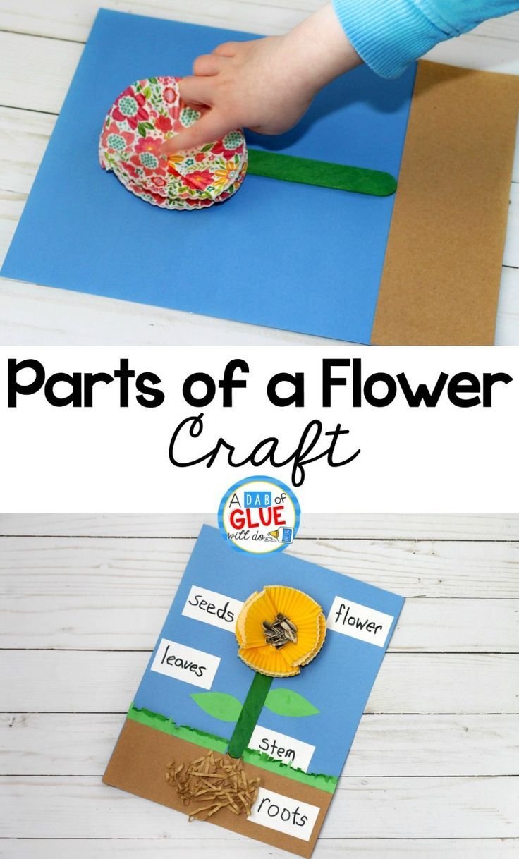 parts of a flower craft | teaching preschool | preschool lesson