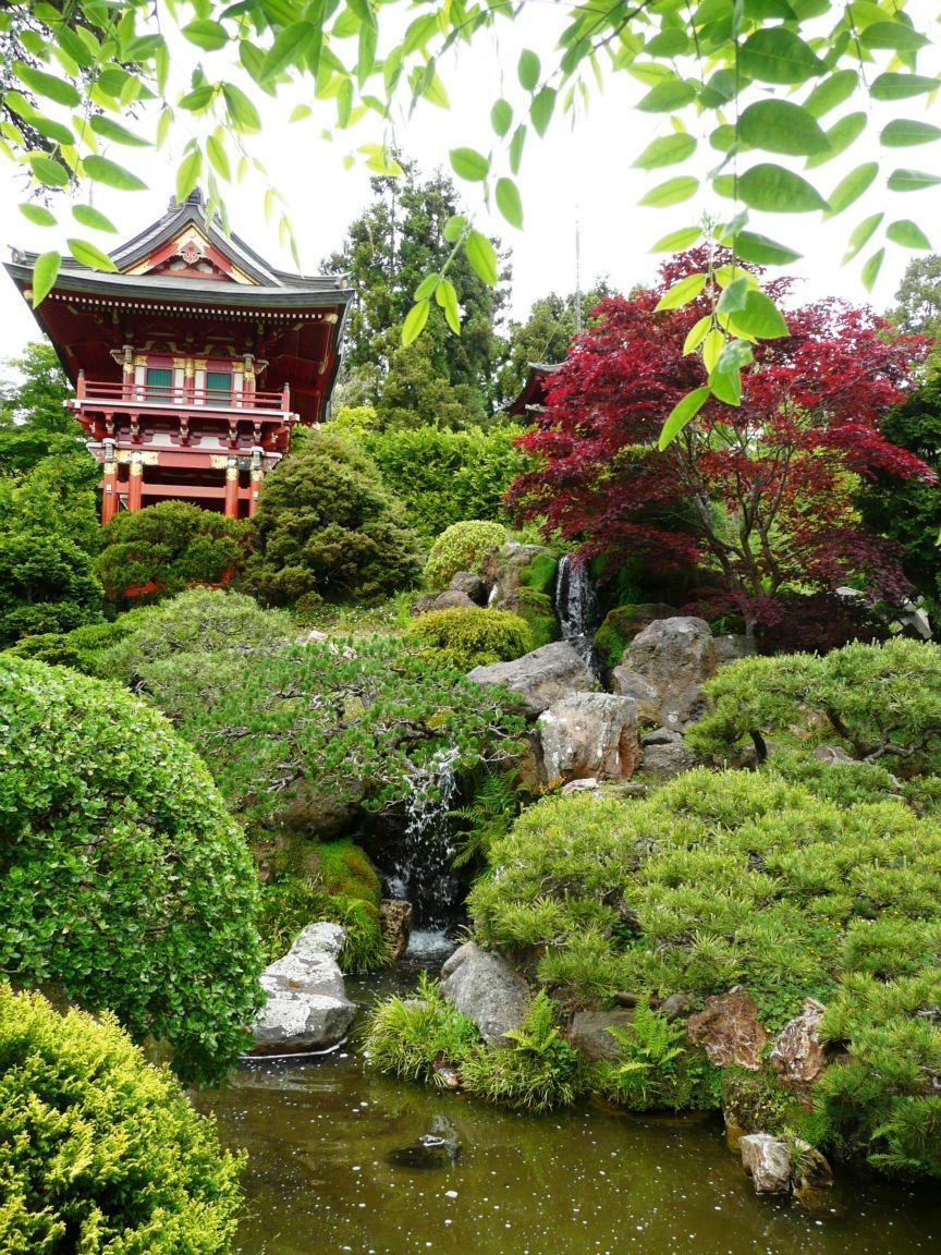 japanese tea garden  click to see full size! | travel