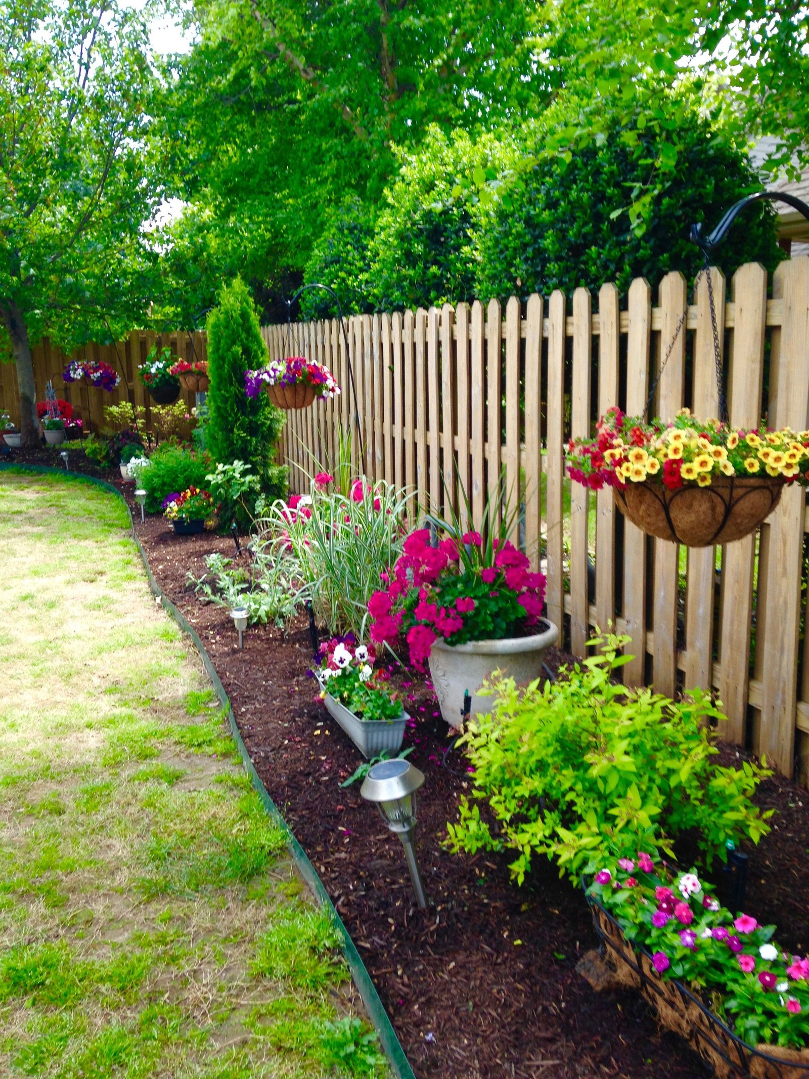 my spring flowers! | garden ideas | backyard landscaping, garden