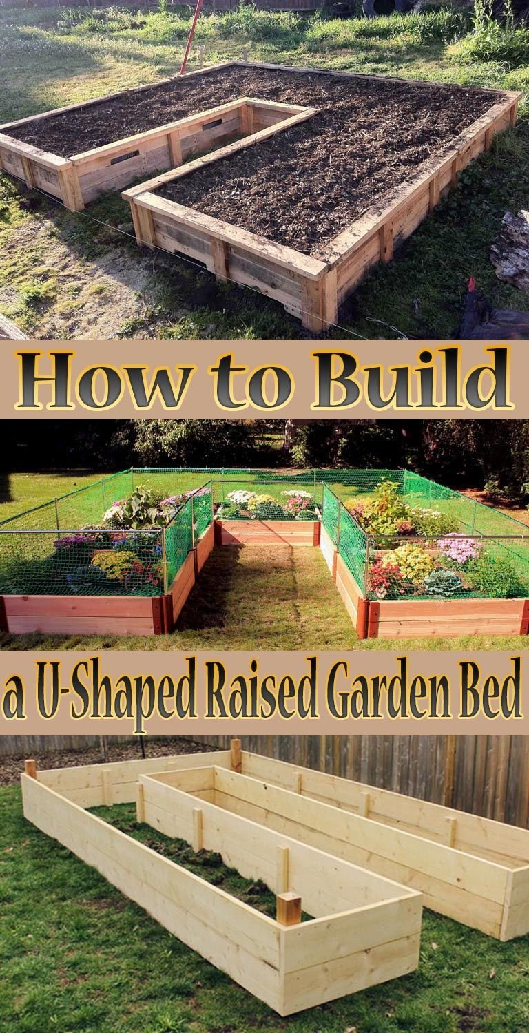tips how to build a u-shaped raised garden bed. creating your own