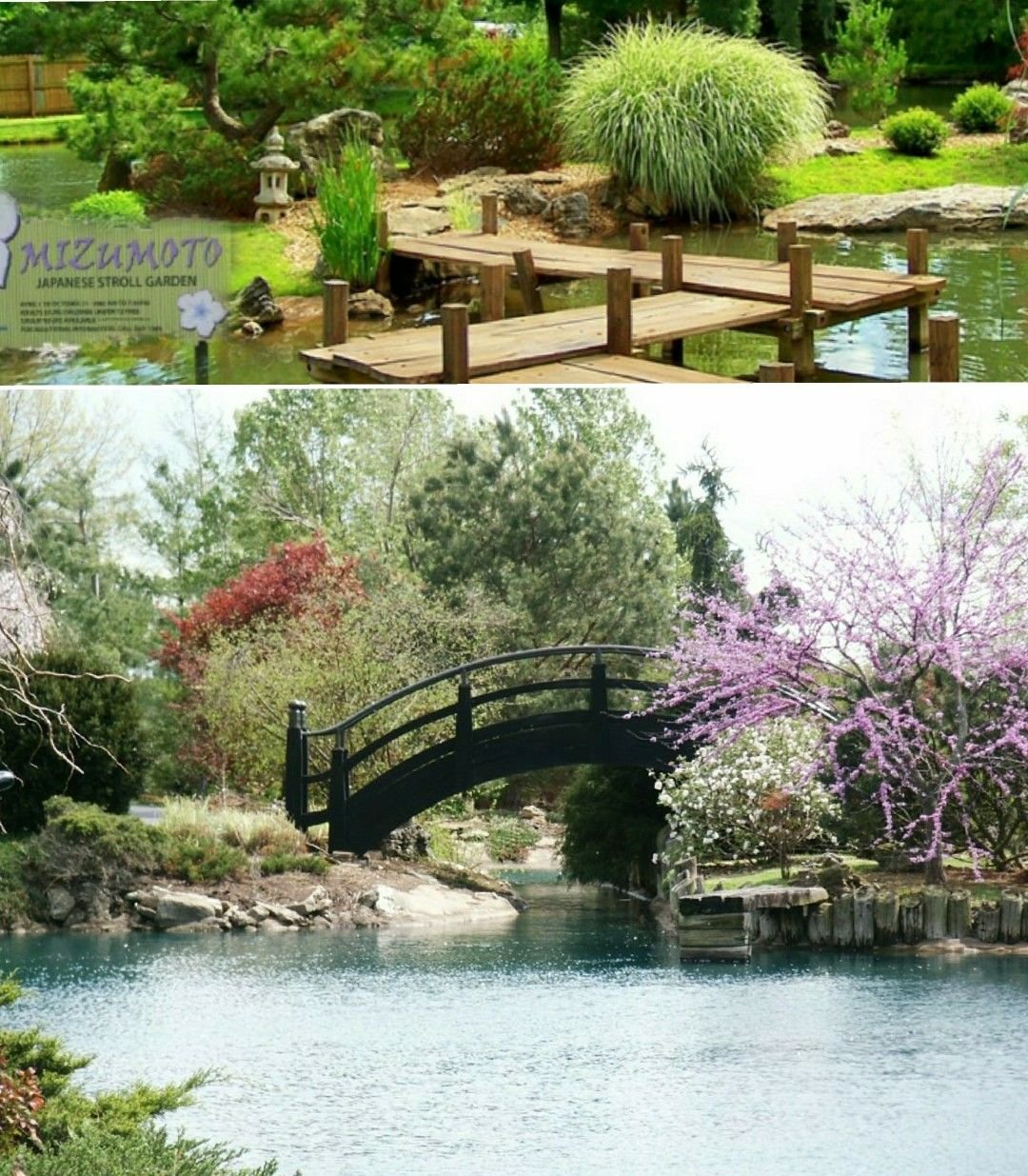 mizumoto japanese stroll garden in springfield , missouri | travel