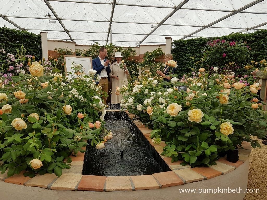 rhs chelsea flower show 2016 | blanket 8 | chelsea flower show
