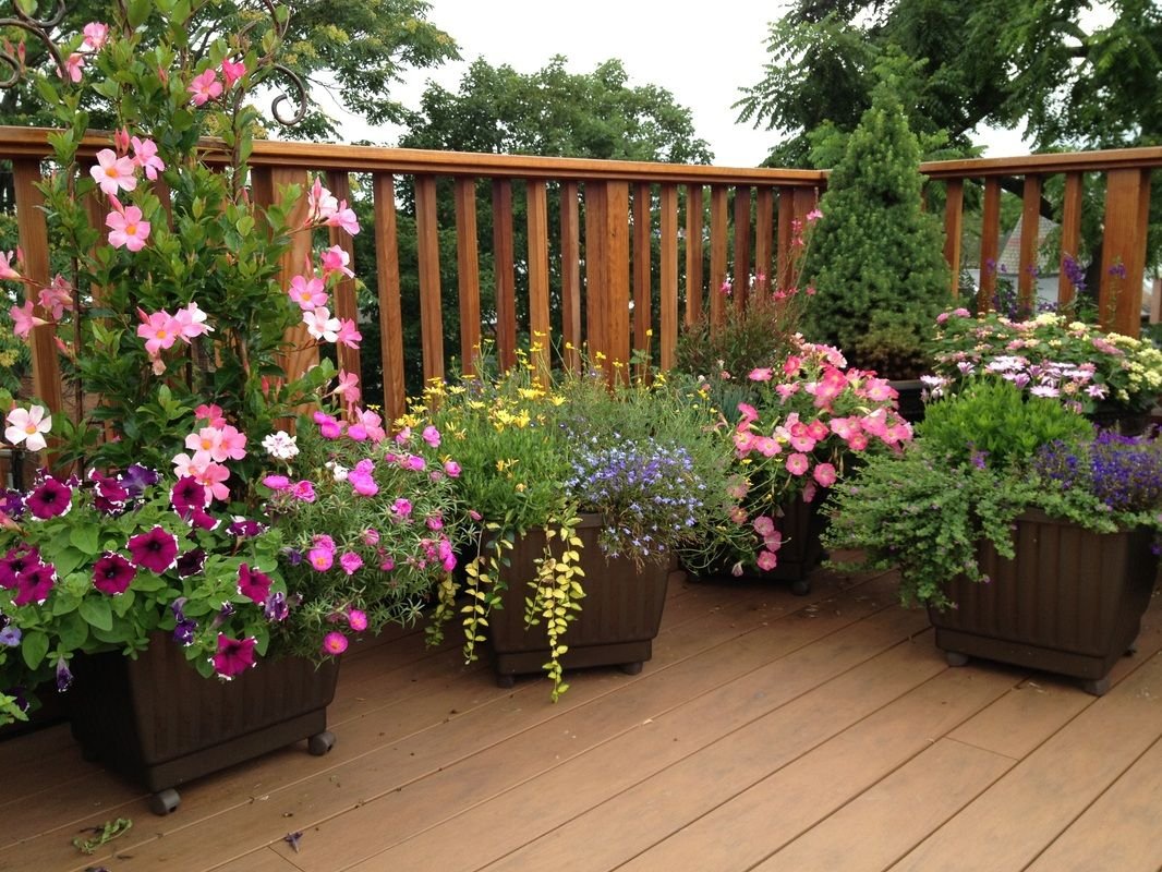garden design: garden design with barrel tub garden pot garden