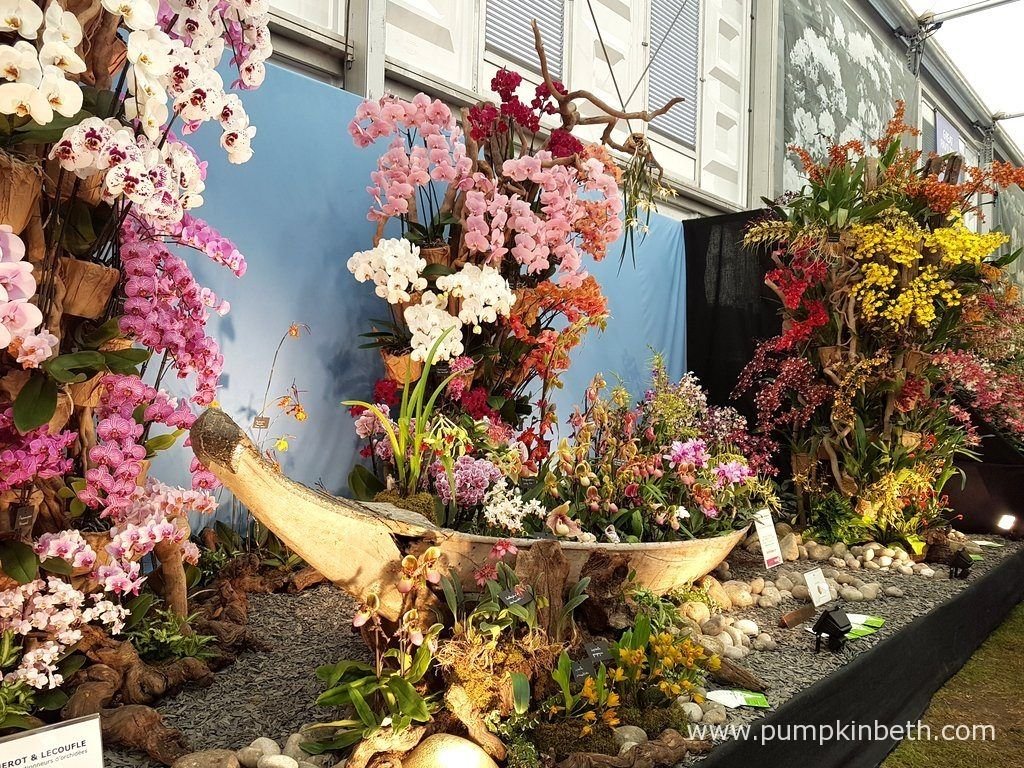 kết quả hình ảnh cho french flower shows | flower show | pinterest