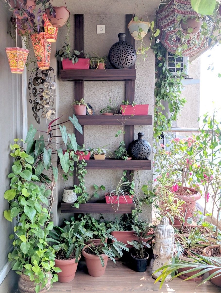 a balcony garden in mumbai - terrace reveal (4) | diy pergola, small