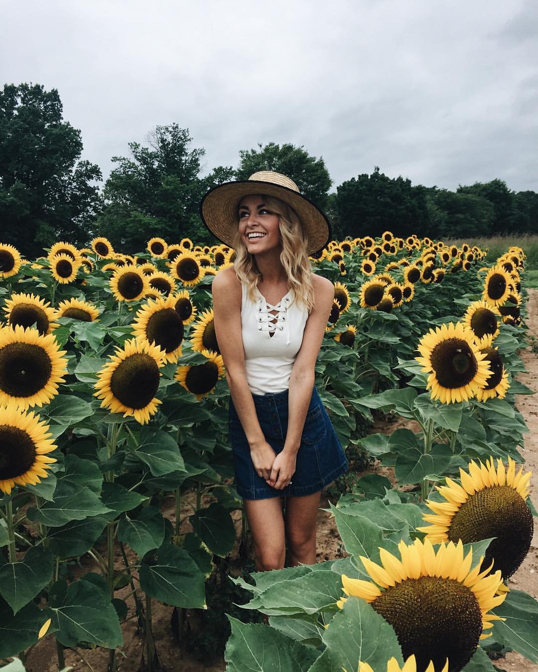 sunflower field. | photography. | sunflower photography, sunflower