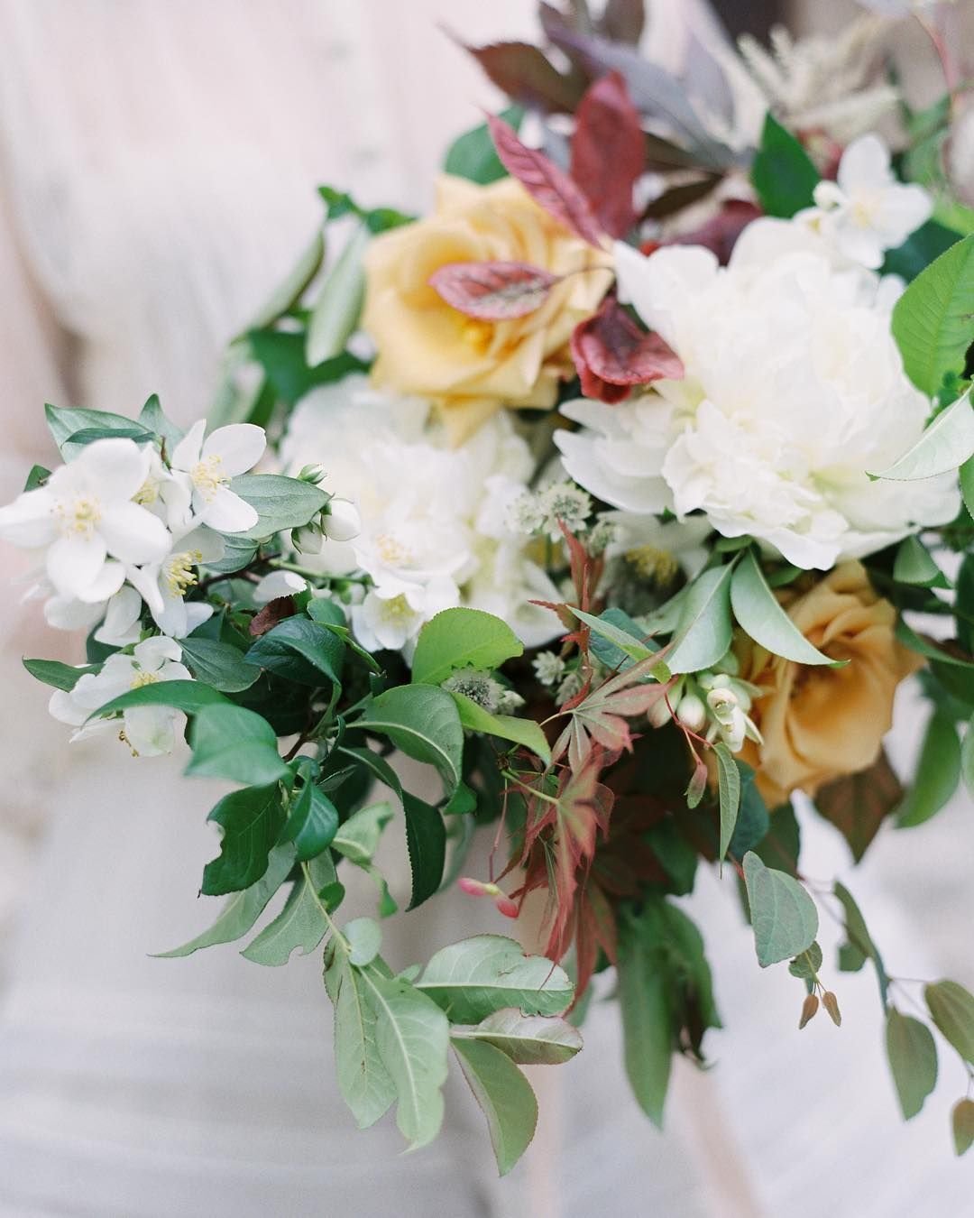 the garden gate flower company on instagram: “spring in france. also