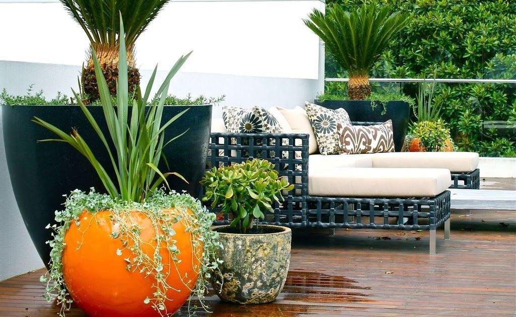balcony garden design sydney terrace outdoor living garden services in