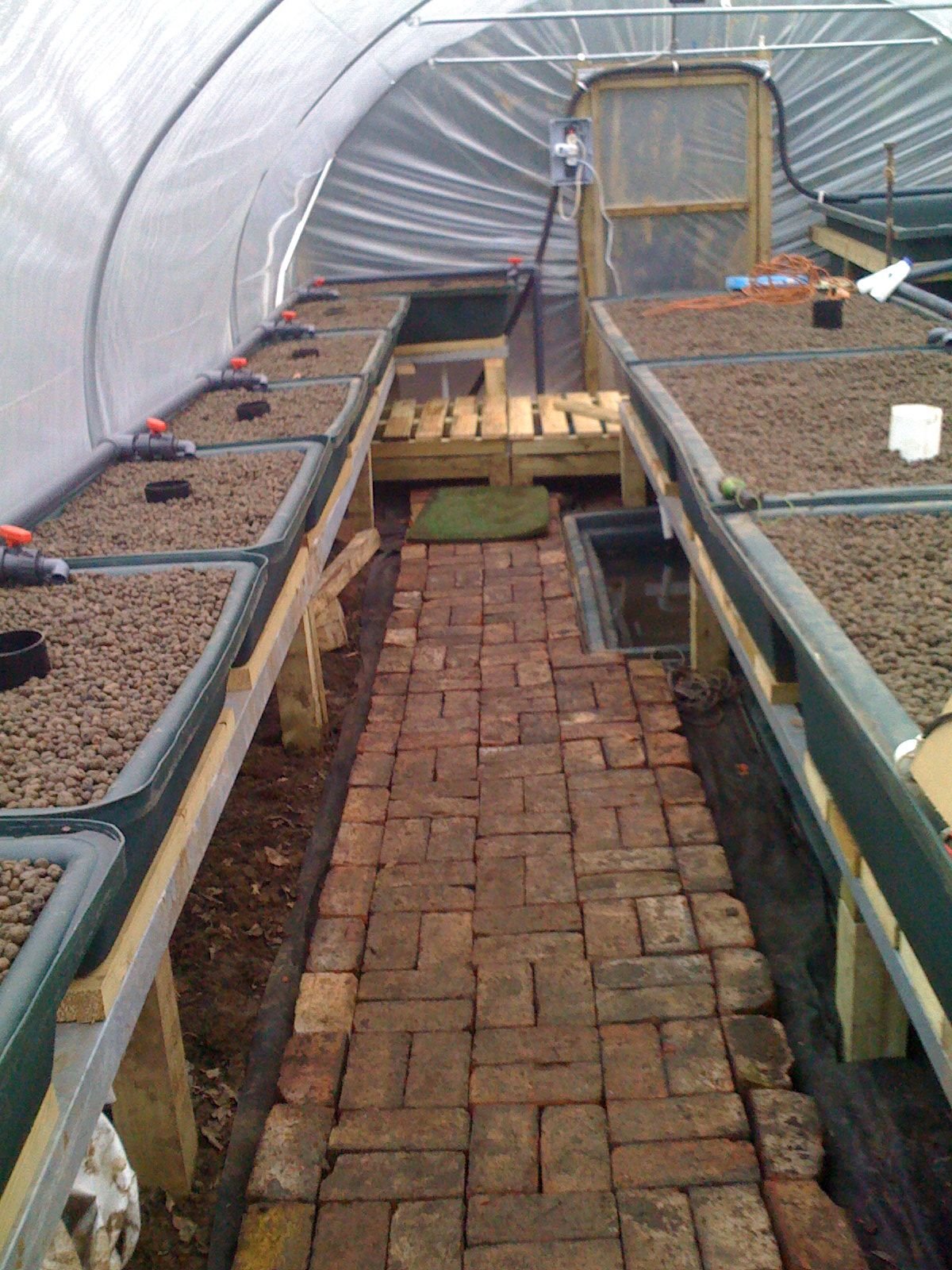 Aquaponics system with sump | Aquaponics, Aquaponics ...