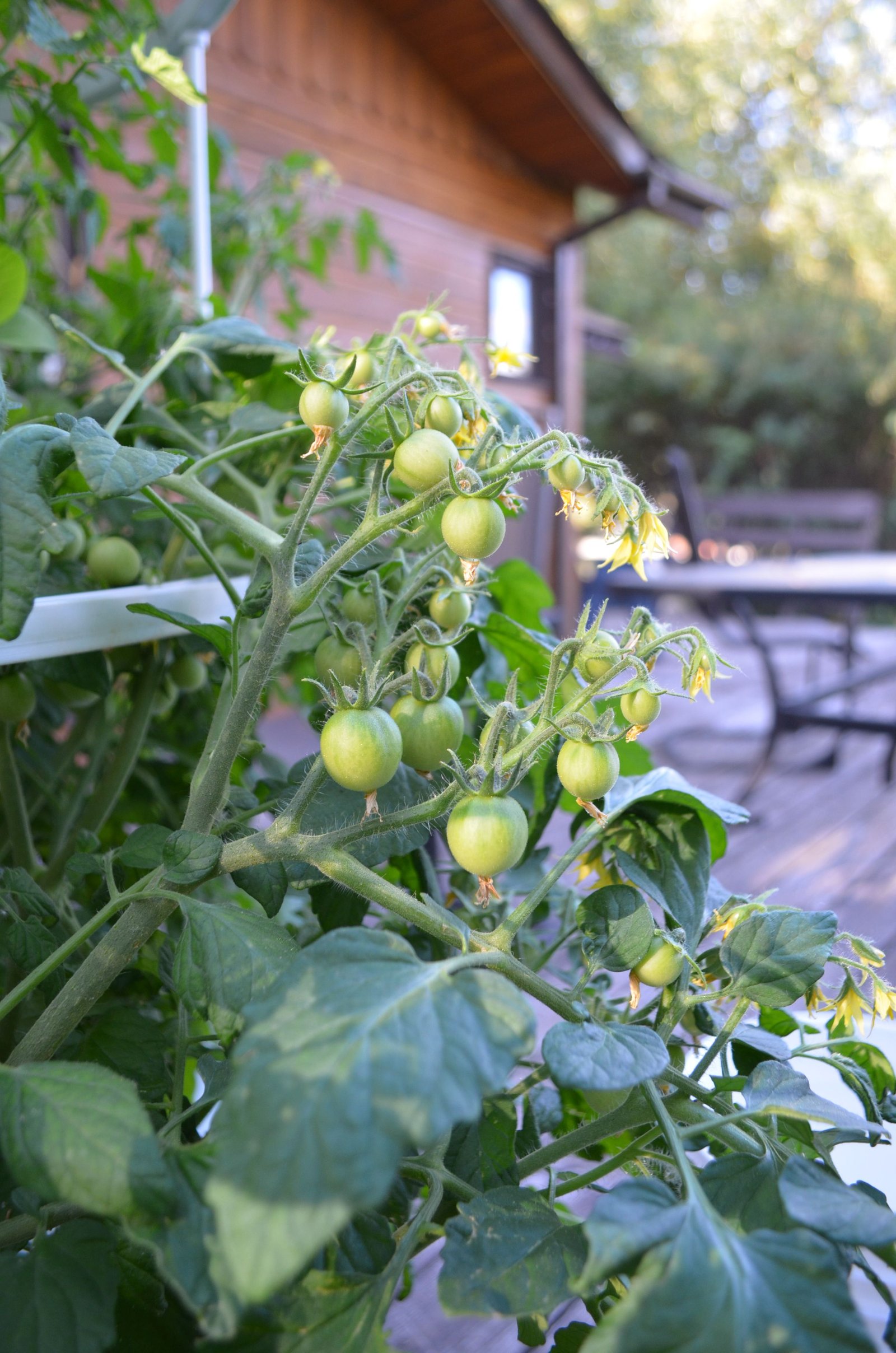 Juice Plus Aeroponic Tower Gardens www.shelbymeyer ...