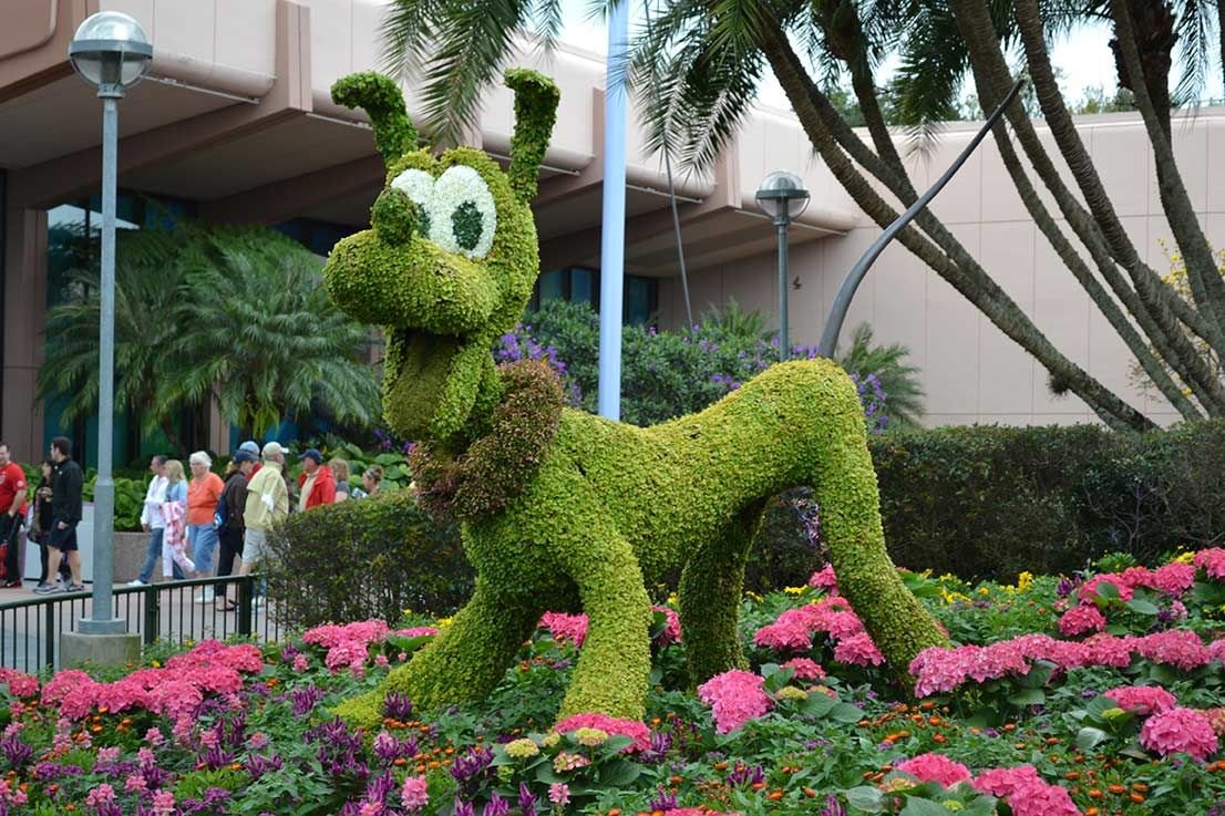 conheça o flower & garden festival, o evento de flores e jardinagem