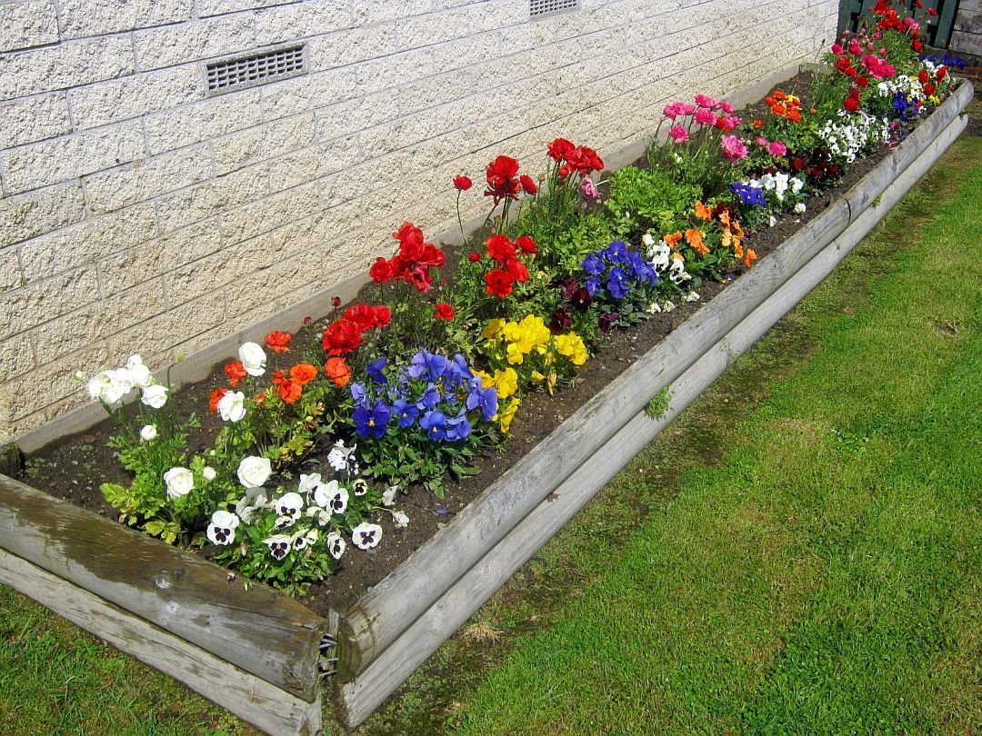 landscaping flowers in front of house - google search | home