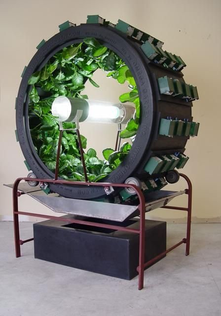 Omega Garden Volksgarden in My Photos by | Aquaponics ...