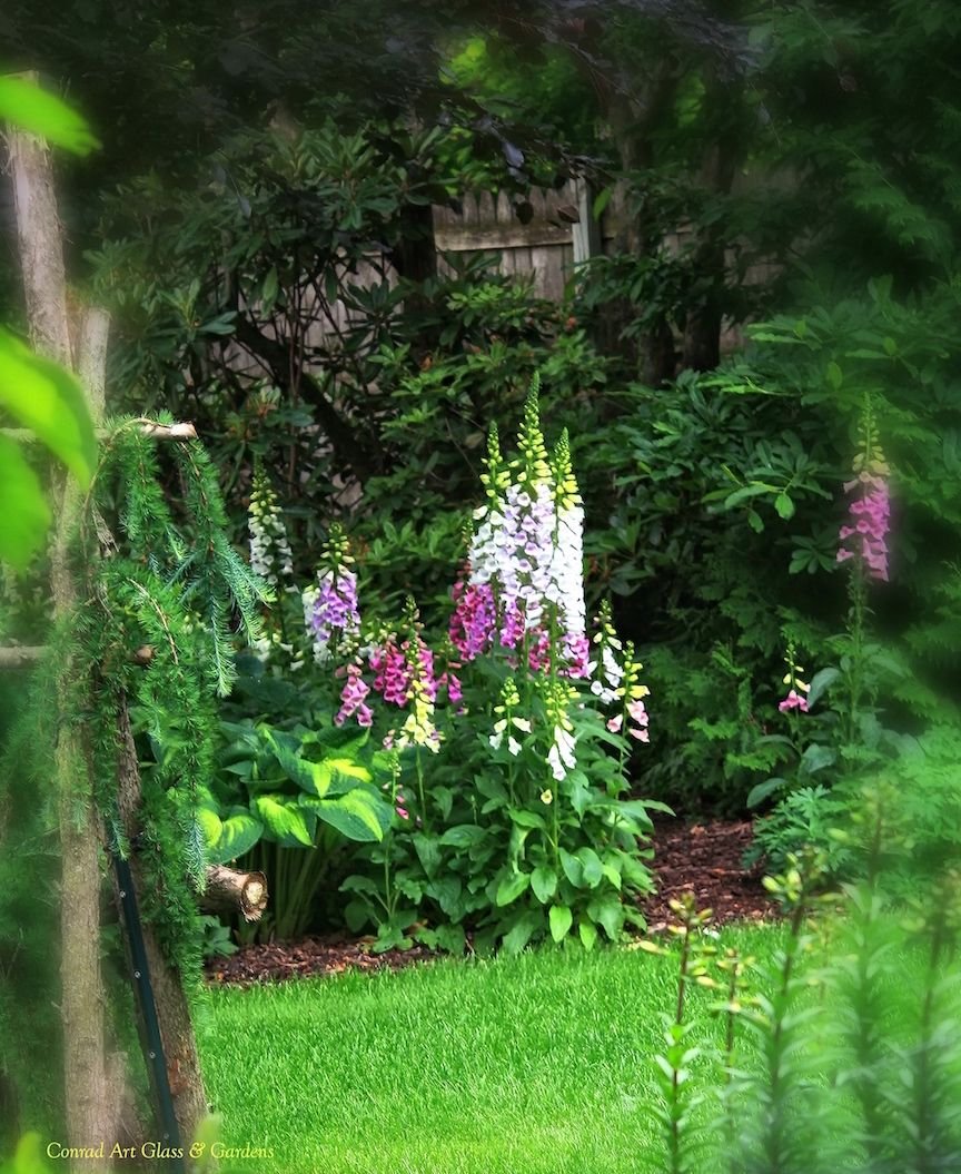 the gardens and glasswork of oak lawn cheese factory | flowers and
