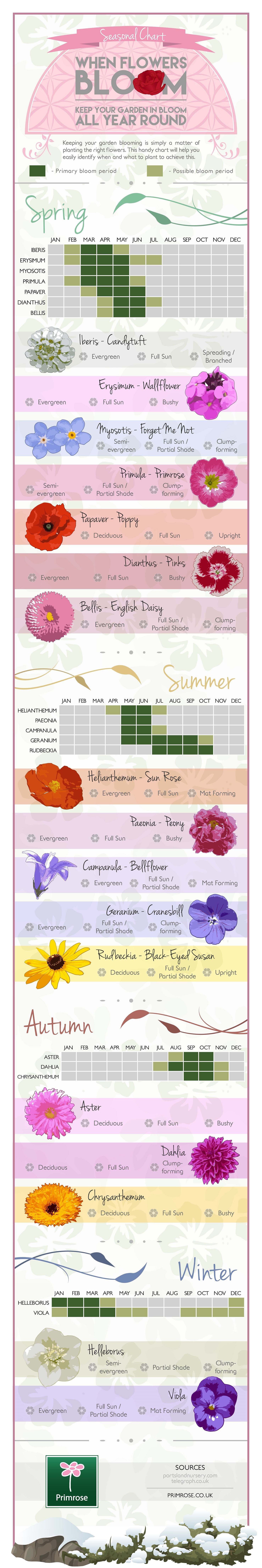 cottages for you | the garden | garden shrubs, colorful garden, garden