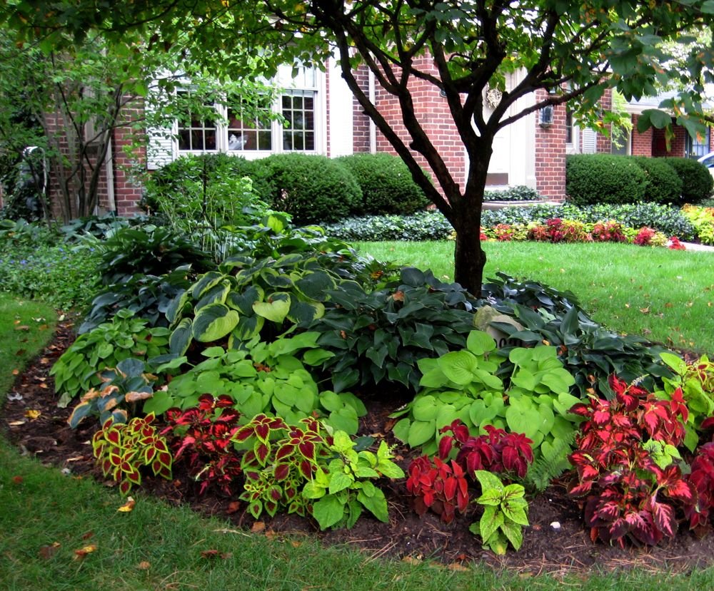 minimalist landscaping ideas for front yards #9938 | design | small