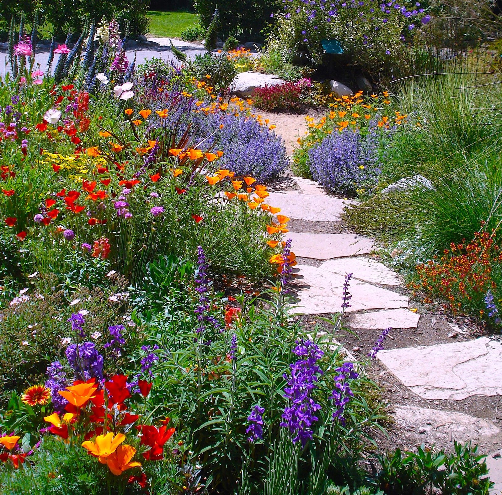 whimsical garden ideas | summer flowers garden this colorful summer