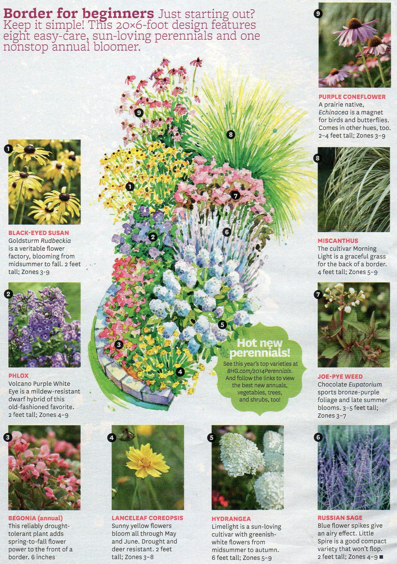 flower border (better homes and gardens, march 2014) | garden life