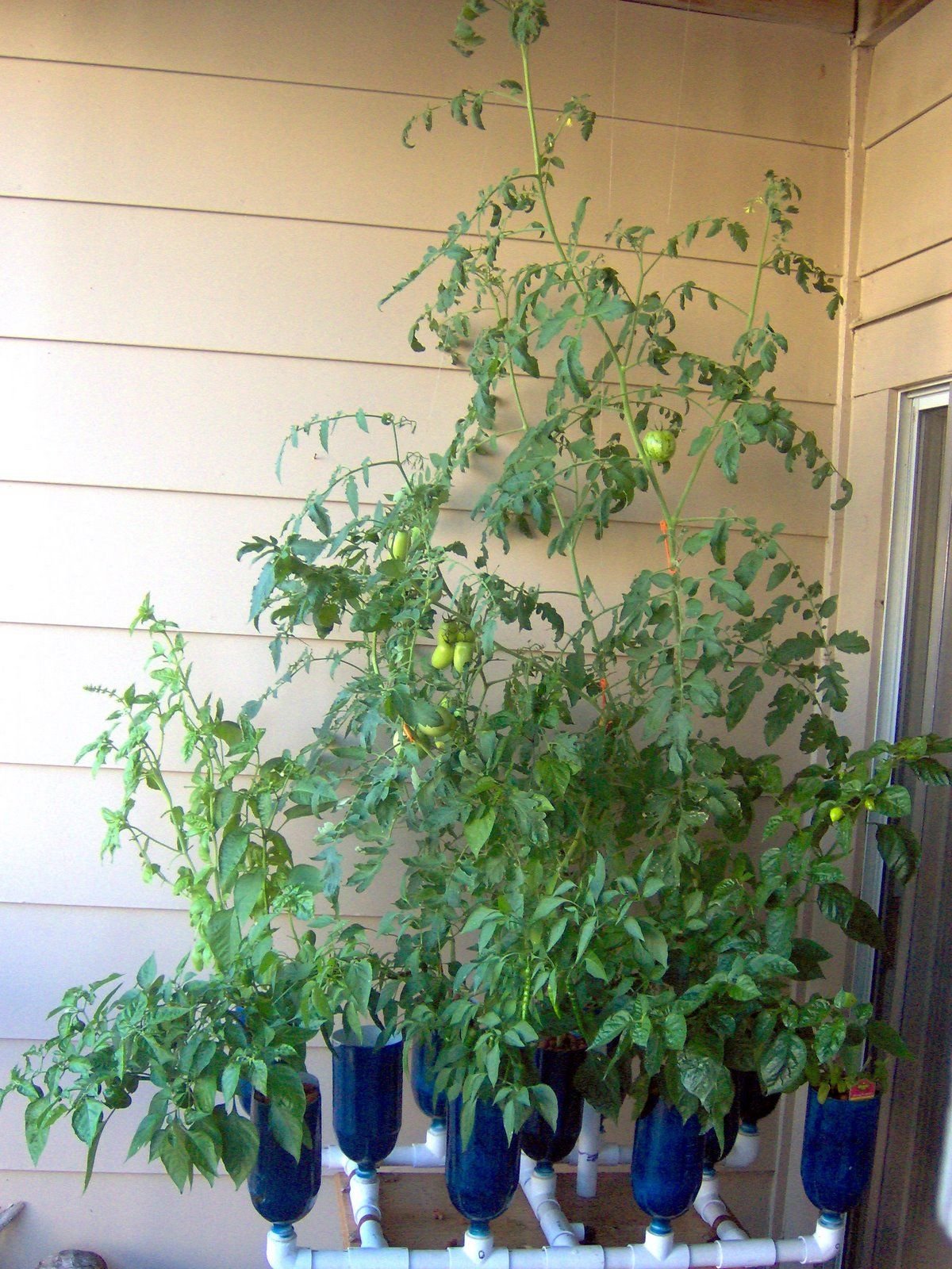 PVC Hydroponic Garden | Hydroponic gardening