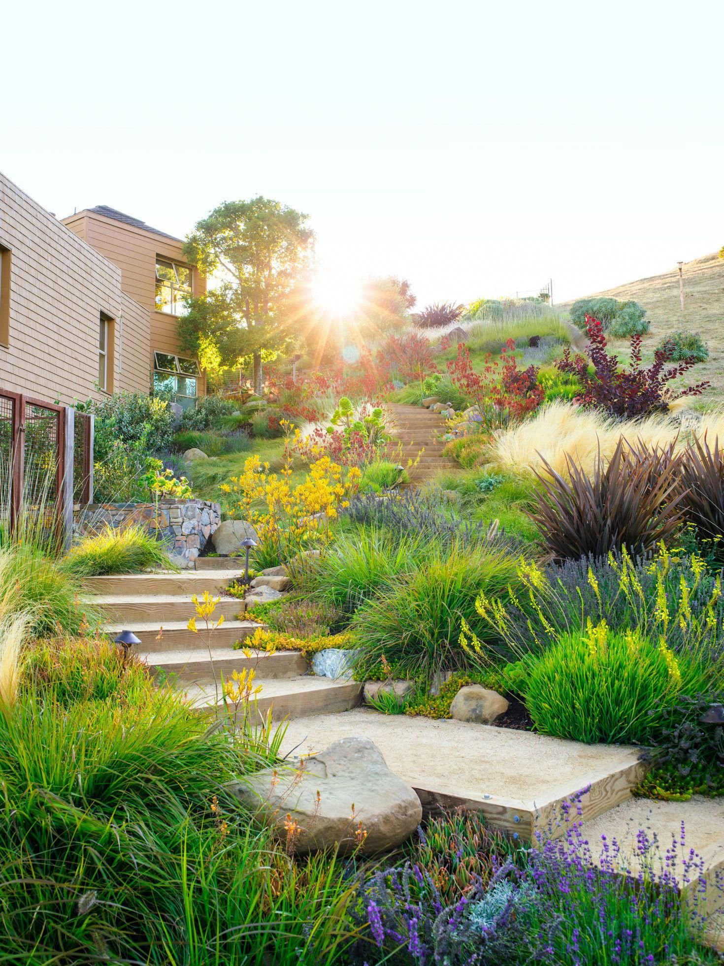 water-wise garden design guide | flower landscapes in gardens