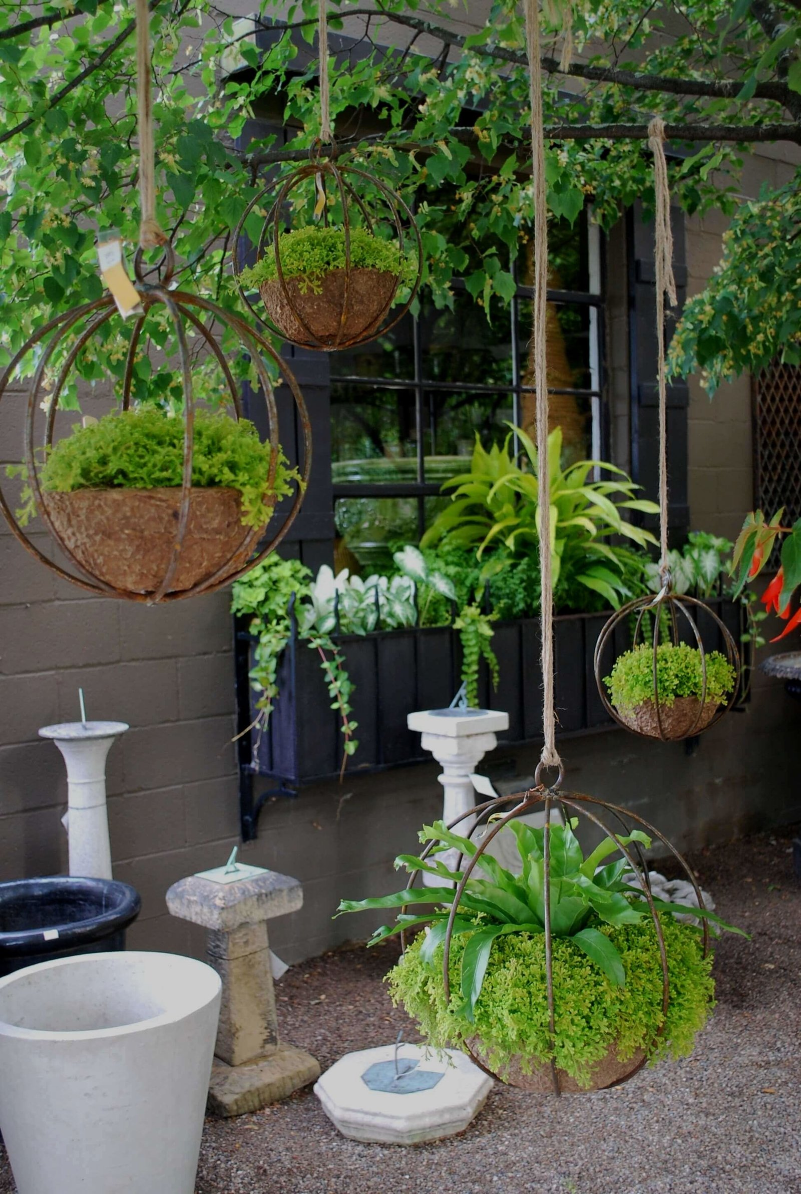 best flower plants for home garden #gardeningflower | landscape