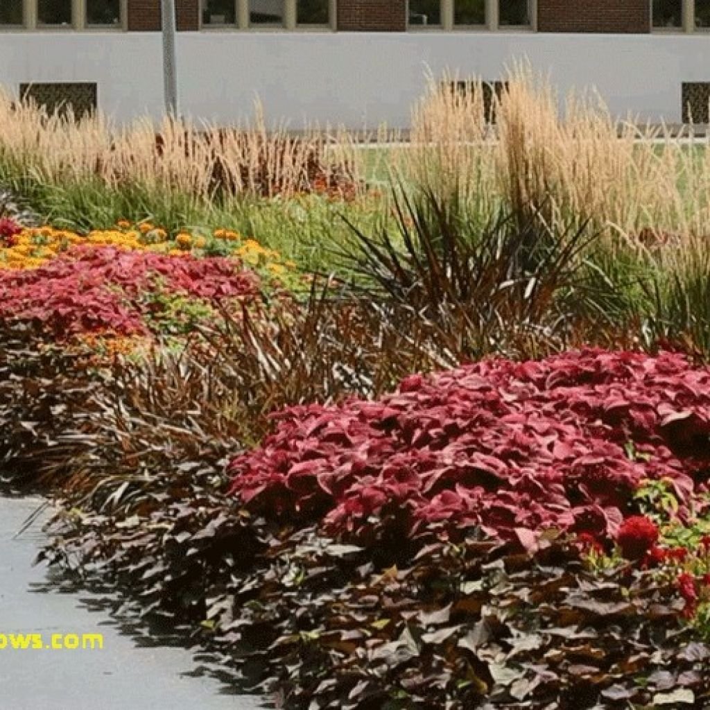 perennial garden design zone 9 luxury awesome 20 flower garden ideas