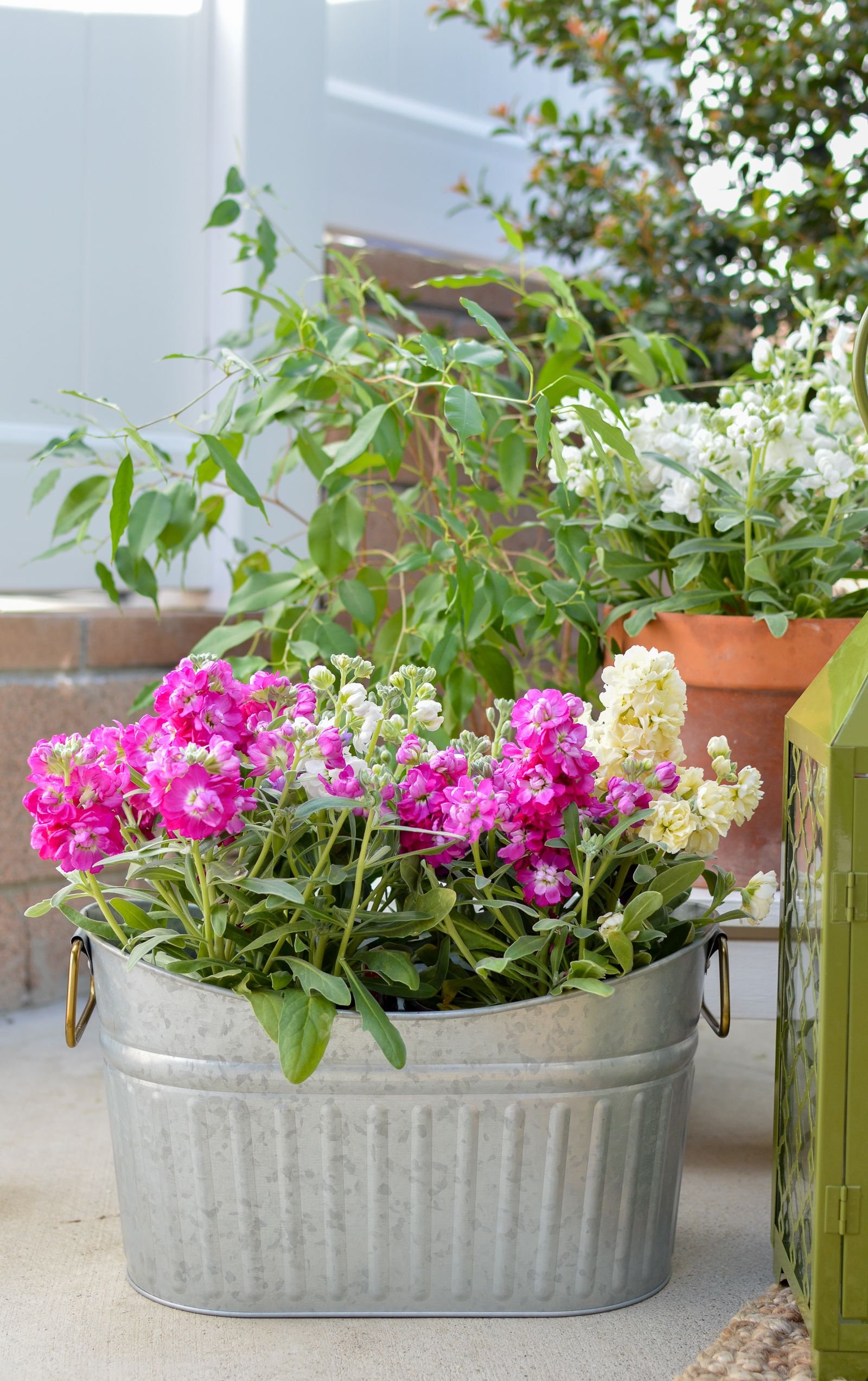 outdoor entertaining furniture and decorating ideas | garden of