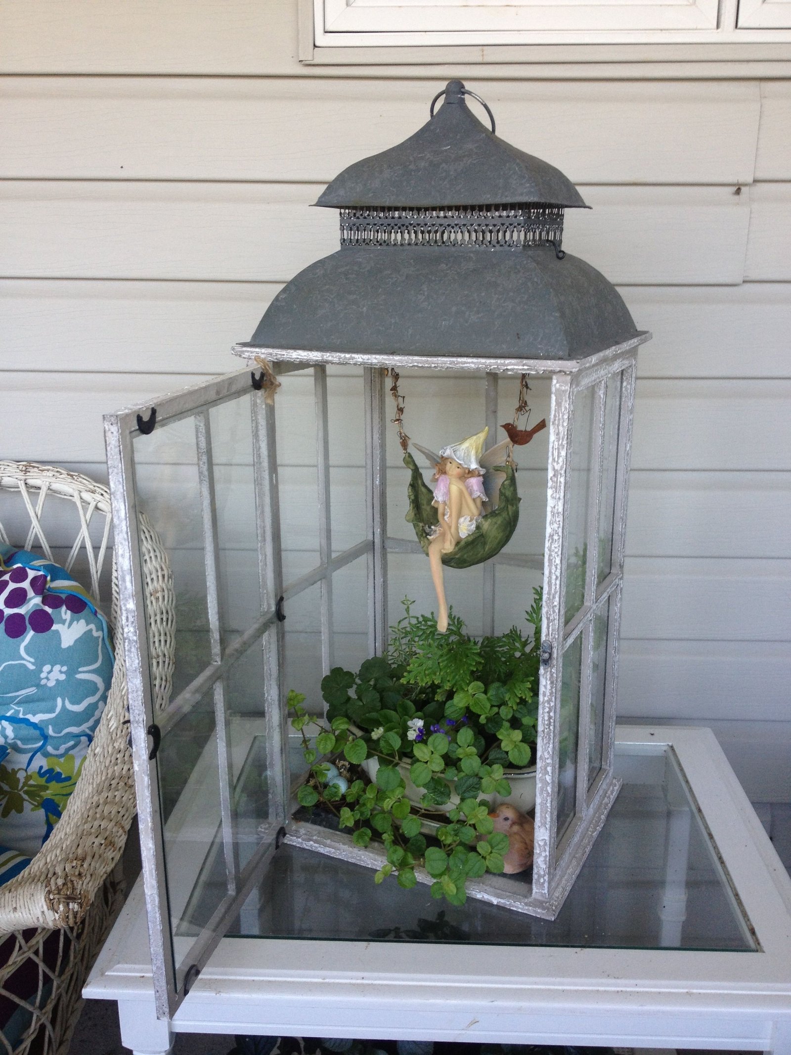 a fairy garden inside a lantern - great idea! | garden | fairy