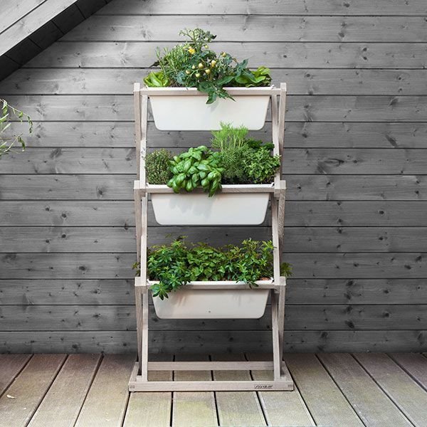 vertical vegetable gardens balcony vegetable gardening#balcony #
