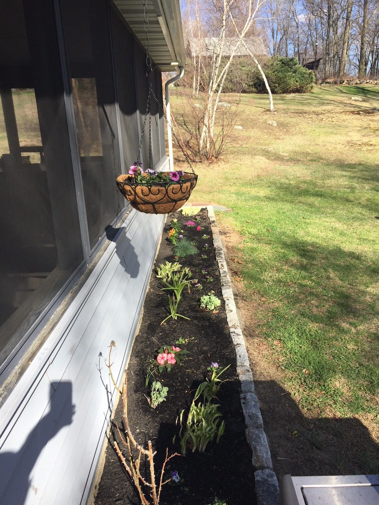 how to start a flower garden for beginners! a step-by-step guide