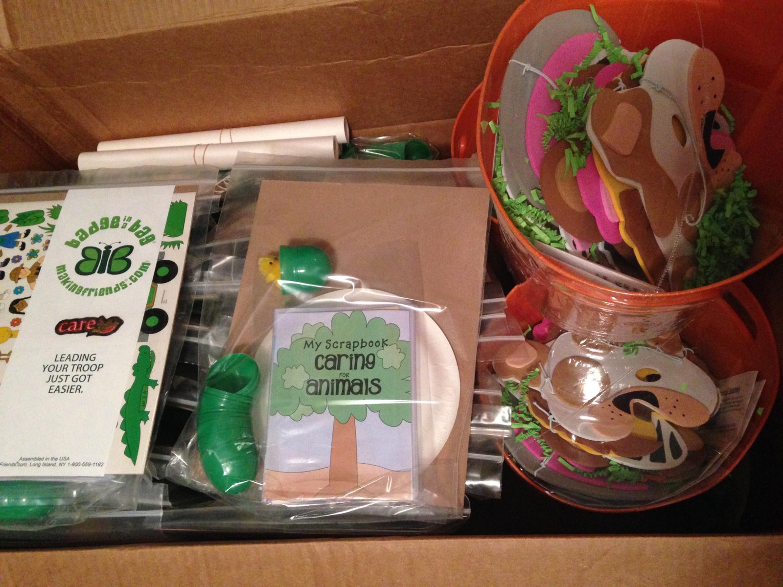 3 cheers for animals journey in-a-day | daisy gs ideas | girl scout