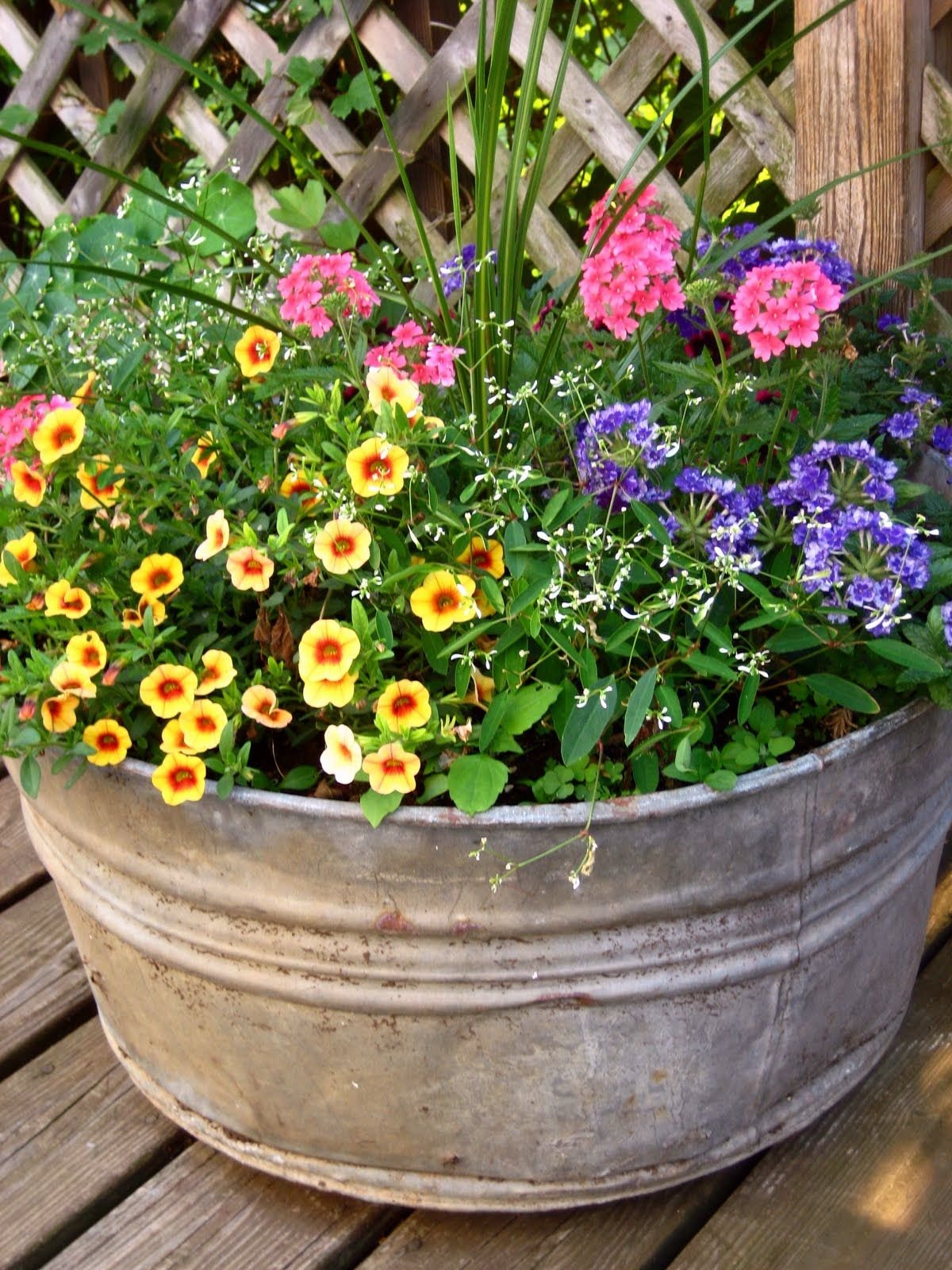 outdoor flower containers | this galvanized old pot contains four