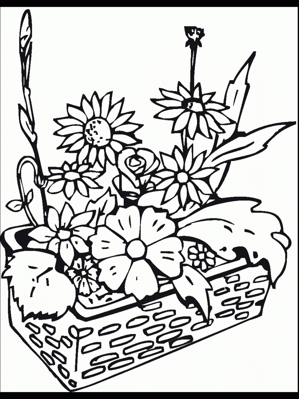 garden coloring pages | nature coloring pages | flower coloring