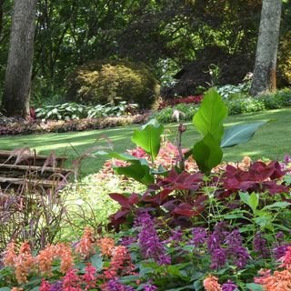 world-class garden | north ga destinations | gibbs gardens