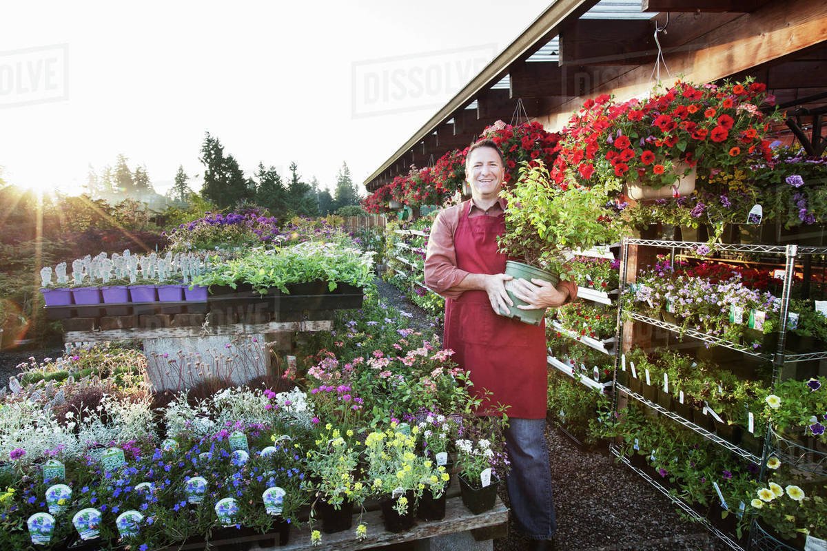 caucasian man nursery owner standing with plants for sale at the nursery.  stock photo