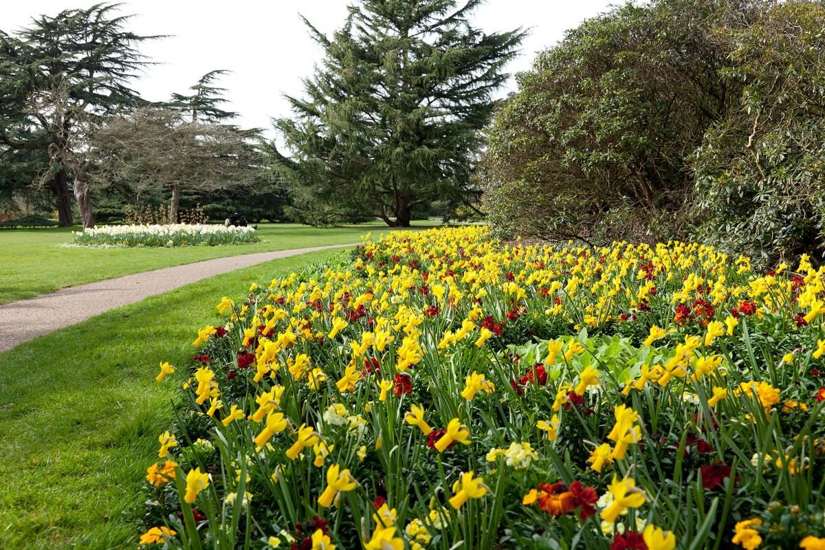 the flower garden - greenwich park - the royal parks