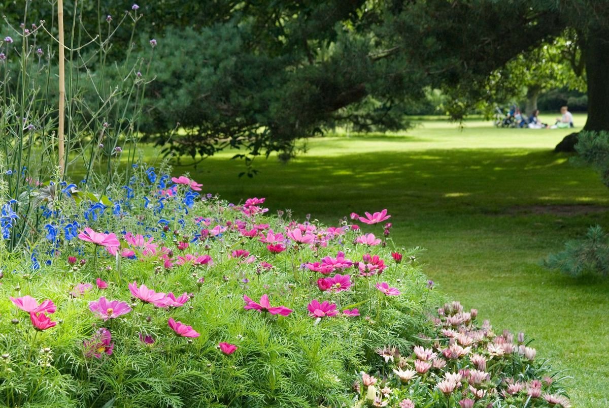 the flower garden - greenwich park - the royal parks