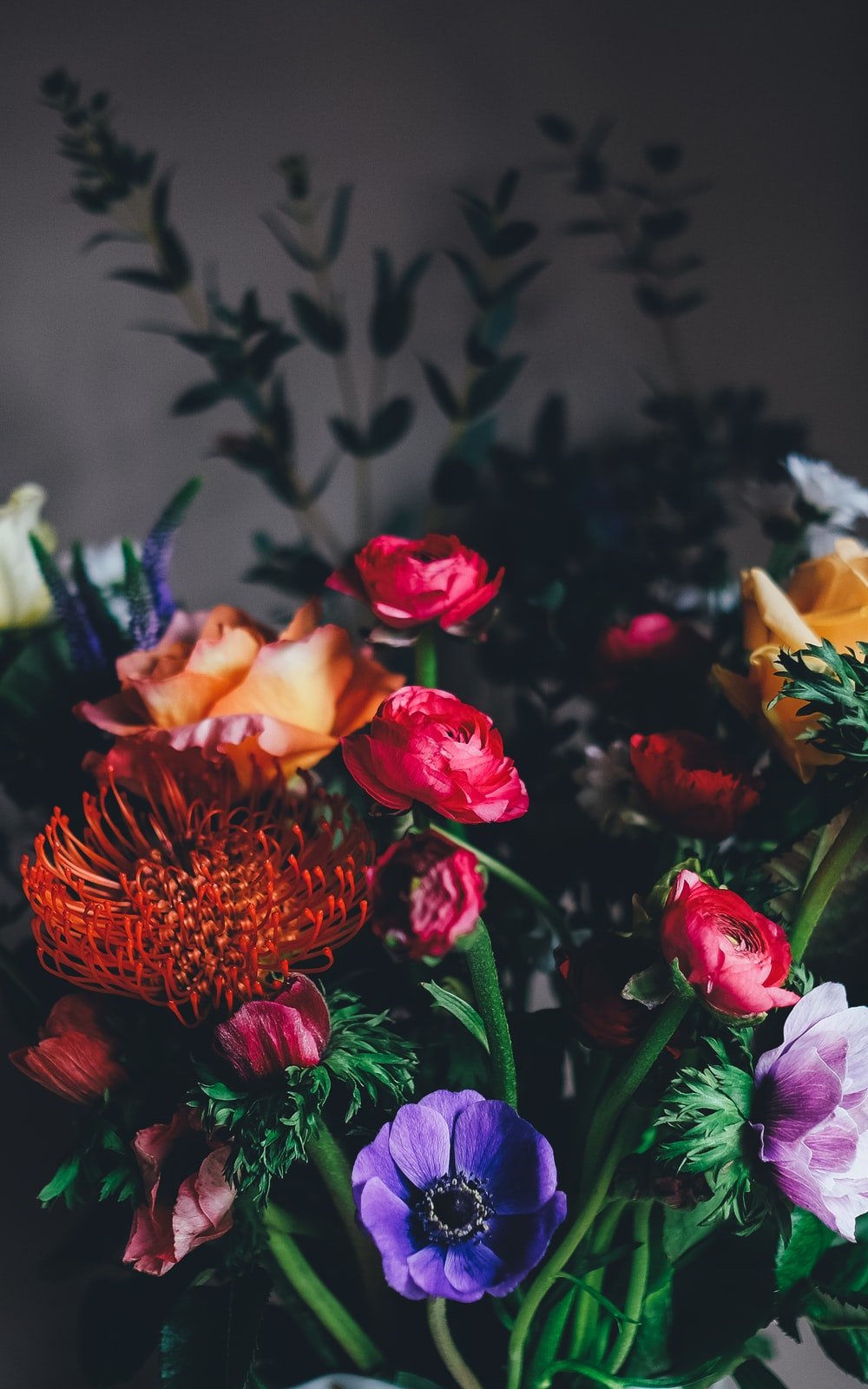 27+ roses images | download free images on unsplash