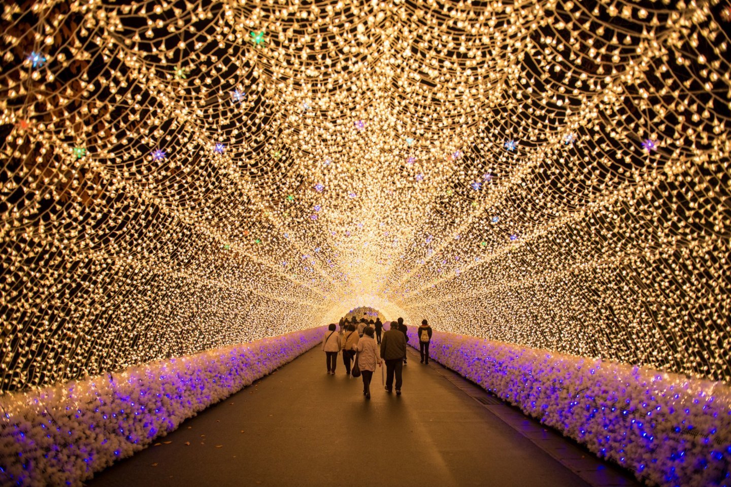 nabana no sato illumination 2019/2020 - october/may events in mie - japan  travel