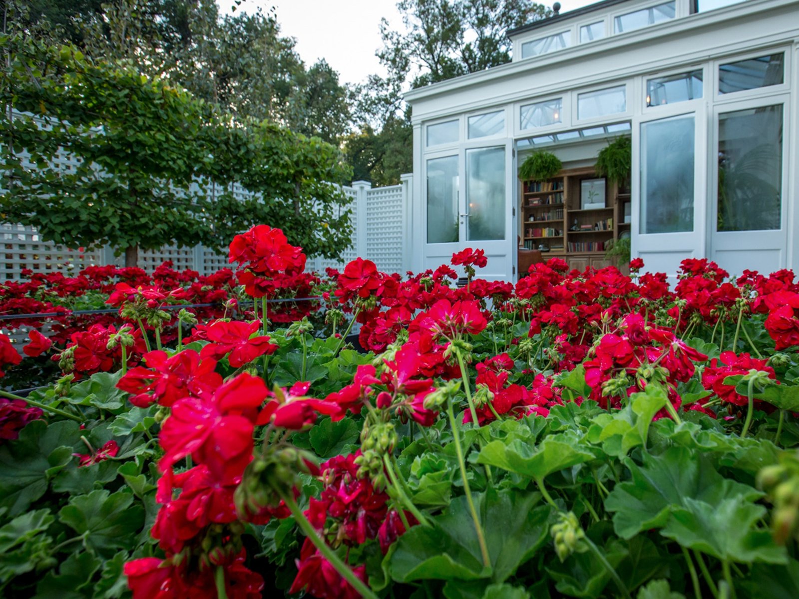 in bloom: 9 beautiful flower shows around the world - condé nast