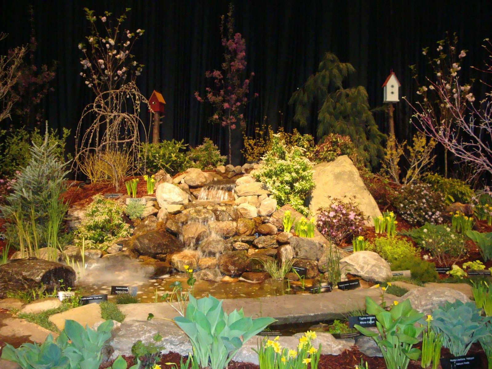 ct flower & garden show feb. 22-25 in hartford - the register citizen