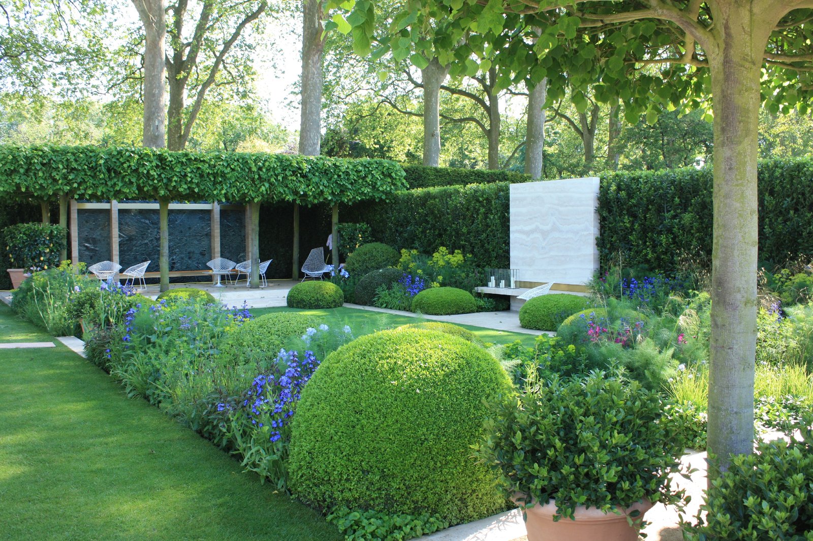 rhs chelsea 2014 - the telegraph garden | garden and plant photos