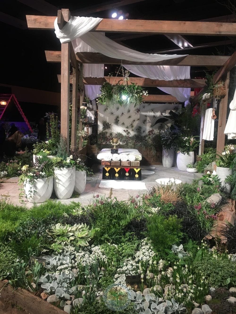 sempervivum forum: northwest flower show, seattle, wa 2018 - garden